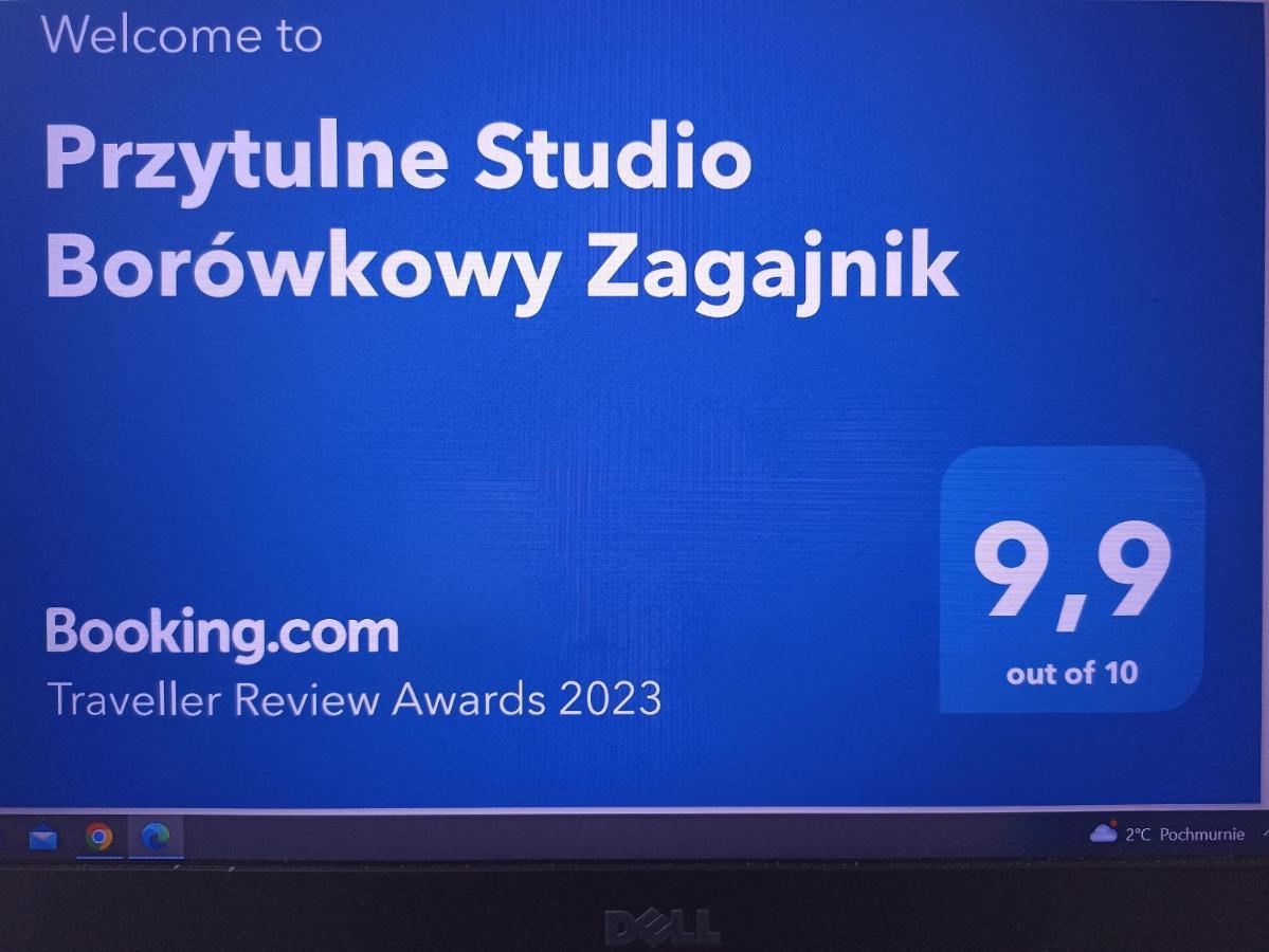Przytulne Studio Borowkowy Zagajnik Piechowice  Exterior photo